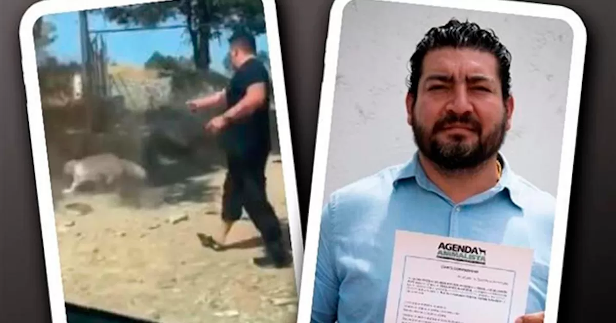 Joel Zárate y su hermano Juan Zárate, ex candidato del PVEM en Tlaxcala, son acusados de matar a un perro a balazos en Tetlatlahuca