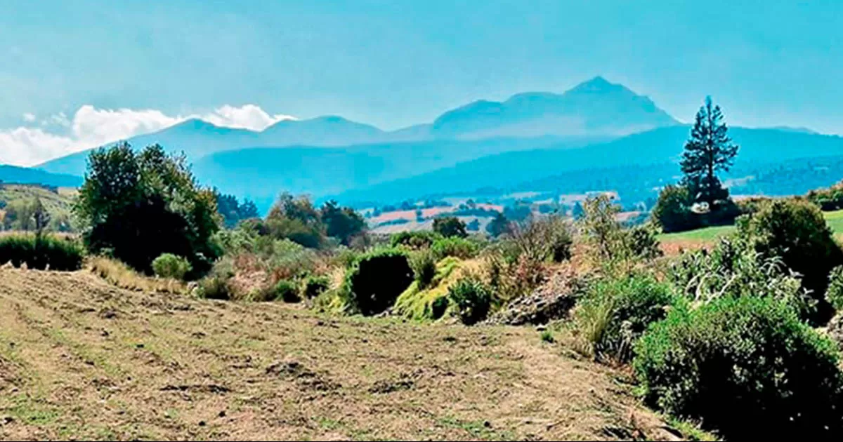 México acumula en las últimas dos décadas una pérdida de 4.66 millones de hectáreas de bosque natural, según la plataforma WRI.