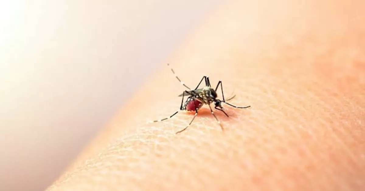 Según informó la dependencia estatal, se trata de un adolescente de 15 años de edad y es un caso de dengue no grave.