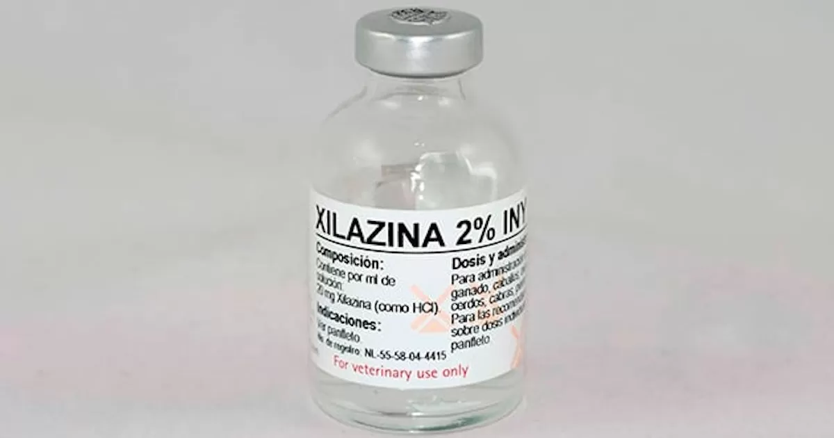 Estados Unidos puso en marcha un plan para lograr en 2025 reducción de 15 por ciento de las muertes por consumo de fentanilo combinado con xilacina