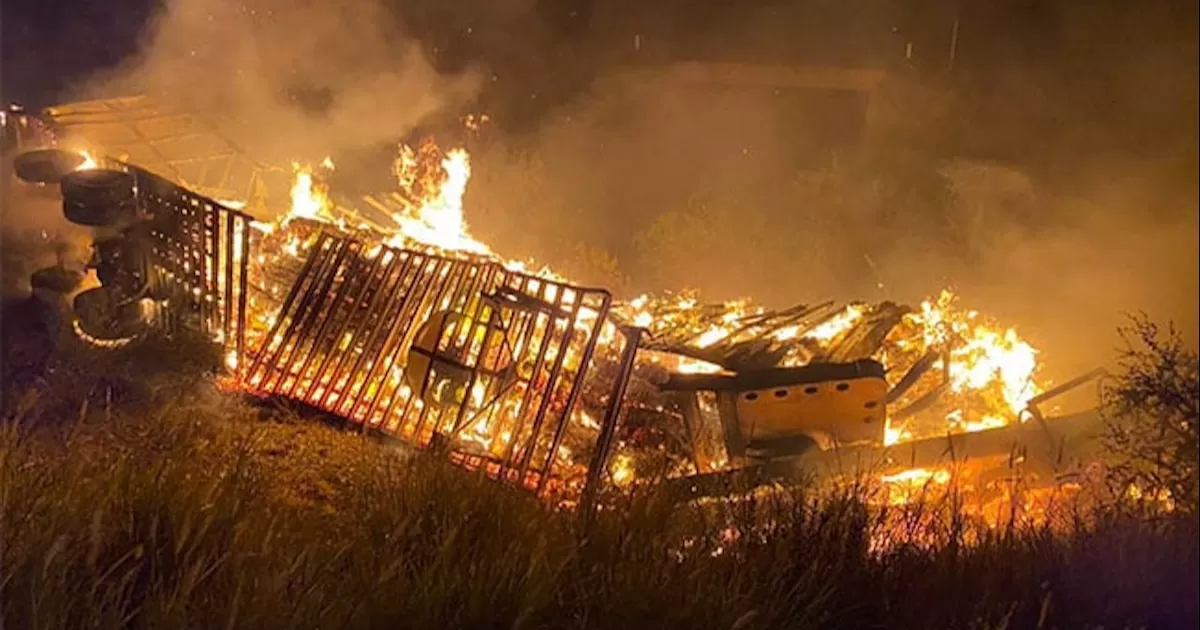 Elementos del cuerpo de bomberos de Rosita llegaron al lugar del accidente y atendieron al conductor lesionado