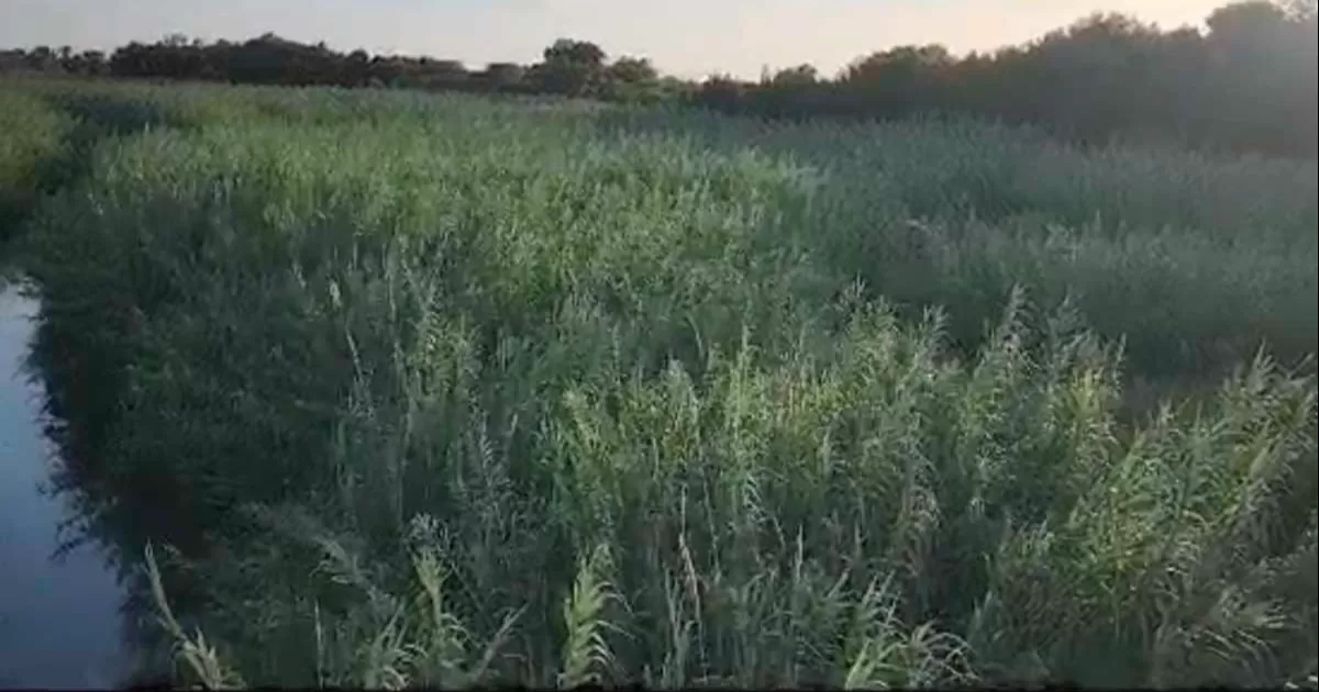 Será la autopsia la que determine oficialmente la causa del deceso y si hay delito que perseguir. Cerca del cuerpo estaba su ropa y latas de cerveza.