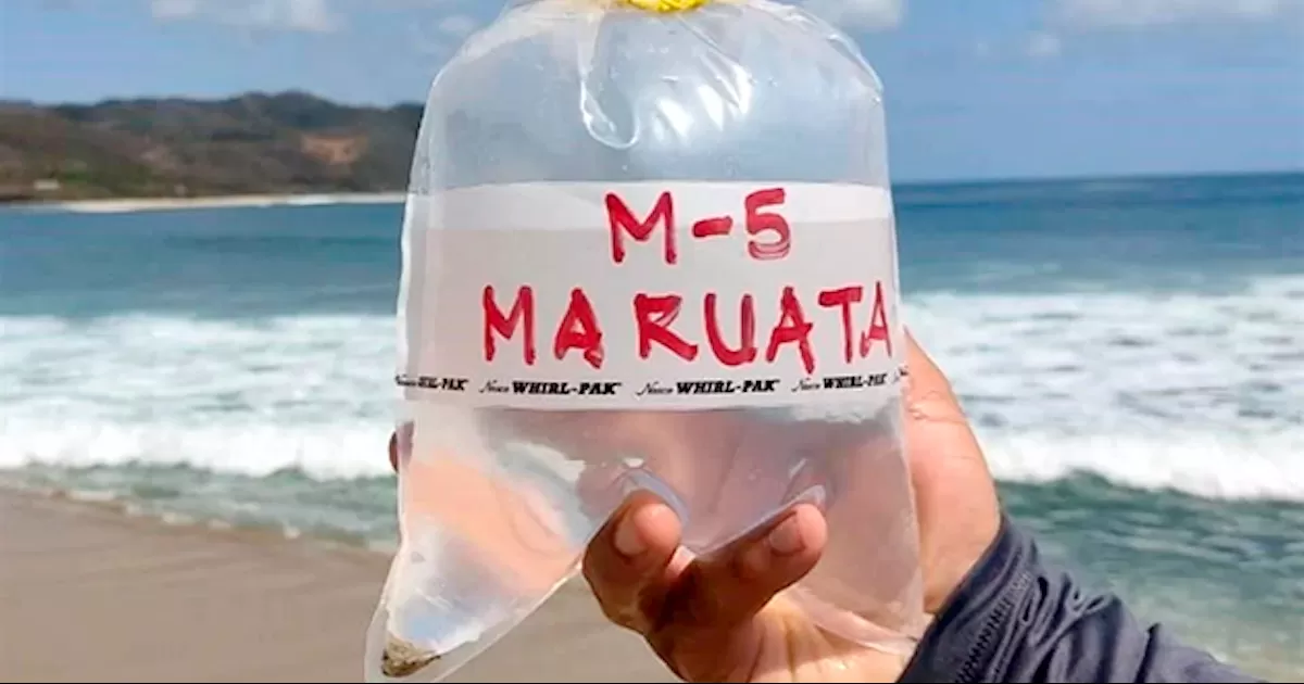 Estas son las 14 playas del País con heces fecales, según Cofepris