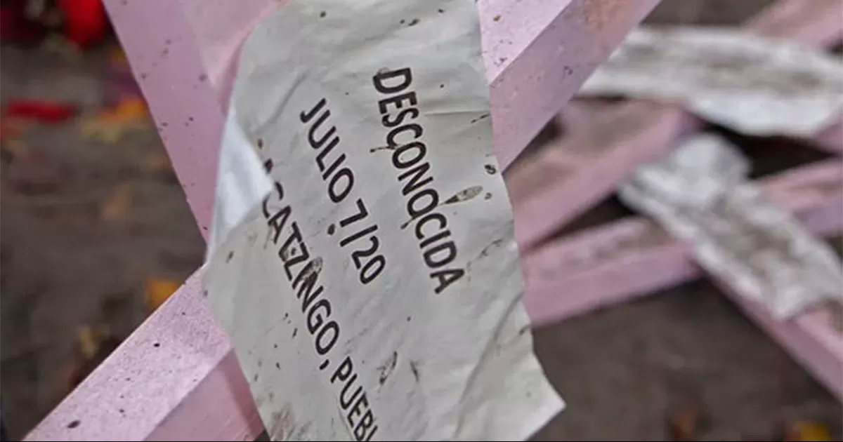 Instituto de EU recomienda al Senado medidas legales para combatir el feminicidio