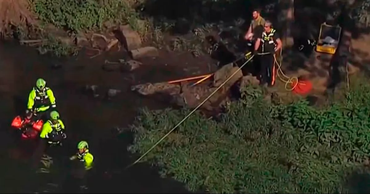 Los niños fueron sacados por su padre, quien no logró retornar de las aguas del río Millstone, en Nueva Jersey.