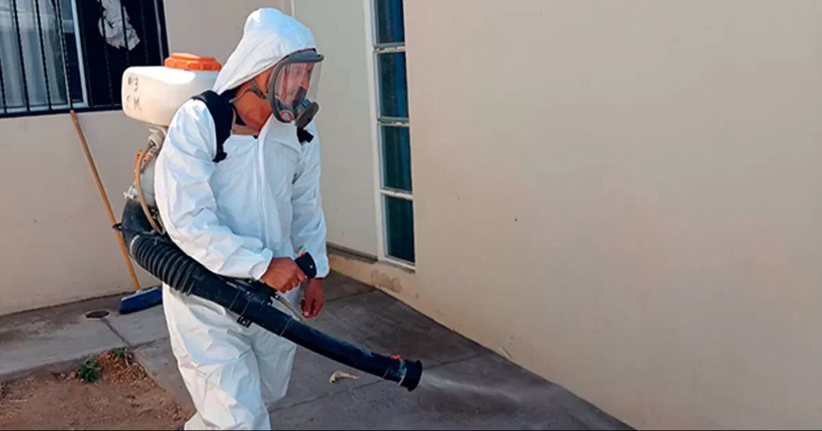 Una menor de 7 años y una mujer de 27 años, son las dos muertes por rickettsia en menos de 20 días en el municipio.