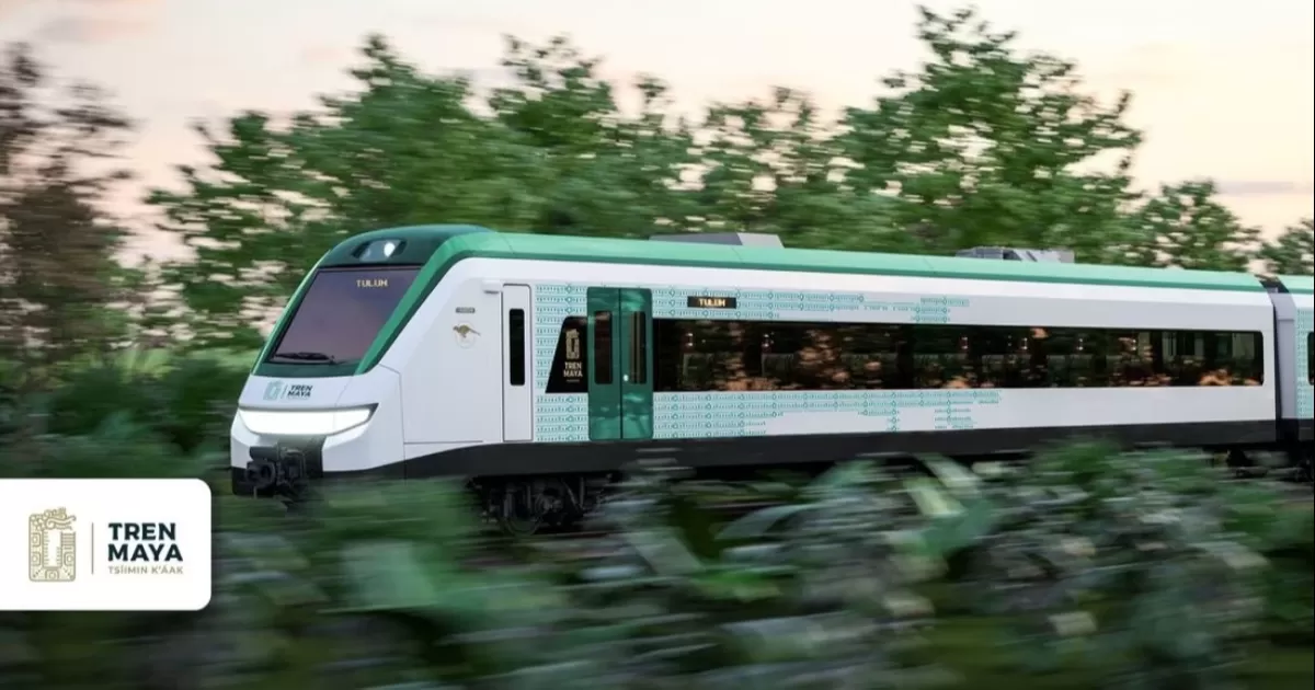 En la edición de este lunes del Diario Oficial de la Federación se publicaron cuatro decretos en los que se detalla la expropiación y la indemnización por un monto total de 90 millones de pesos