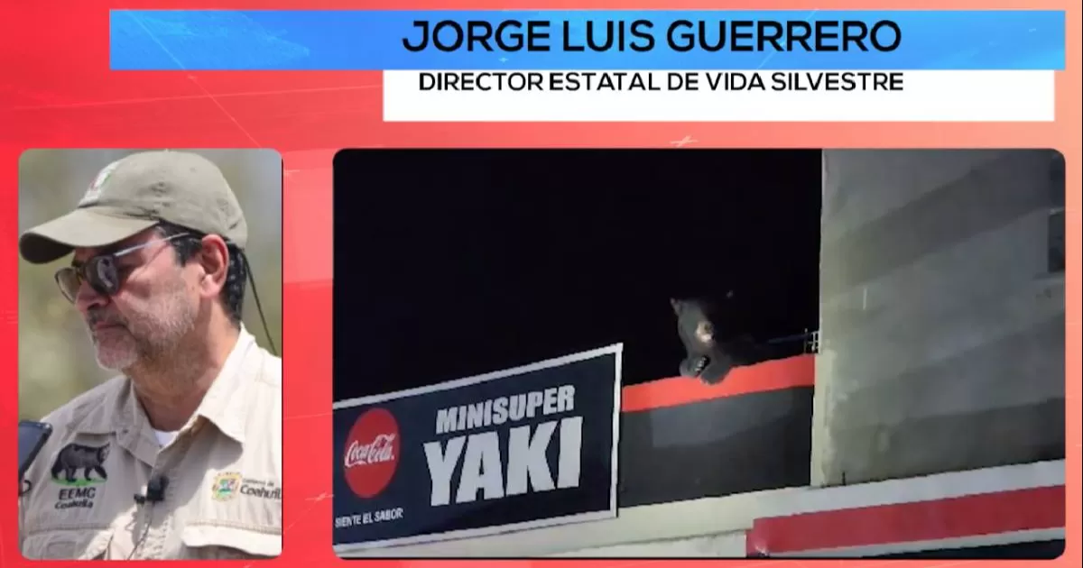 Piedras Negras no tiene equipo de captura de animales