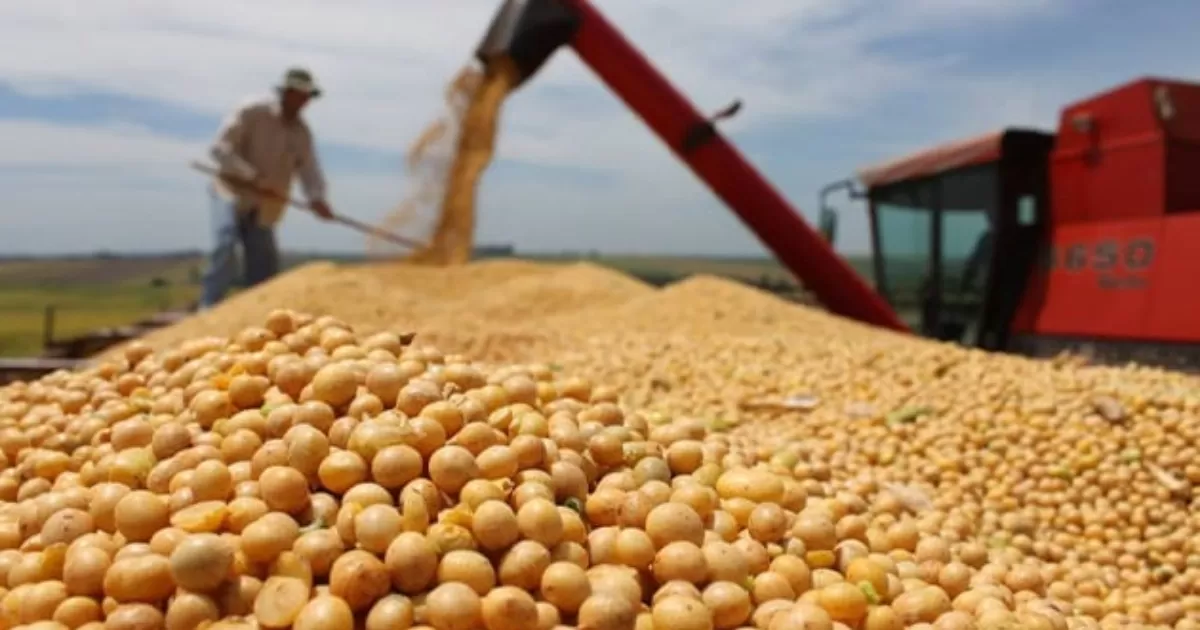 El potencial incremento de los precios de granos y los cambios climáticos son dos nuevos riesgos latentes