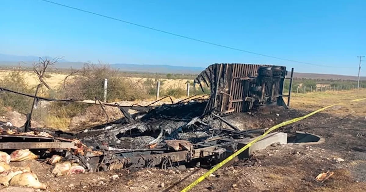Cuerpo de la víctima, ni la razón social del tráiler pudieron ser identificados debido a que el fuego prácticamente los consumió