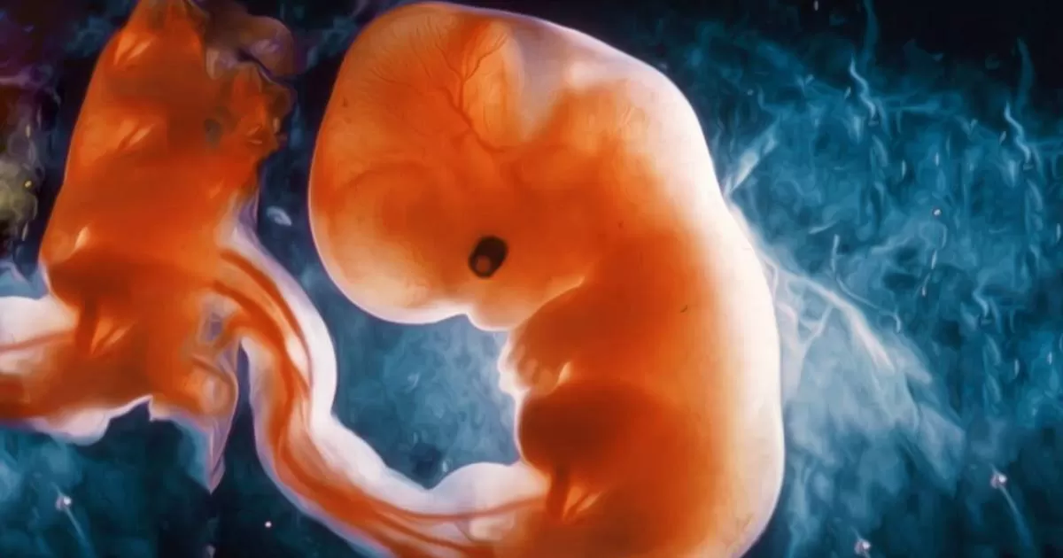 Infecciones de condición sexual y causas inmunológicas ocasionan los abortos