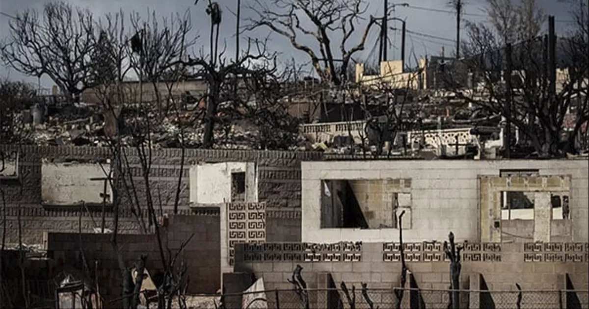 Alicia Bárcena, secretaría de Relaciones Exteriores, informó que personal consular está brindando asistencia y acompañamiento a las familias de las víctimas.