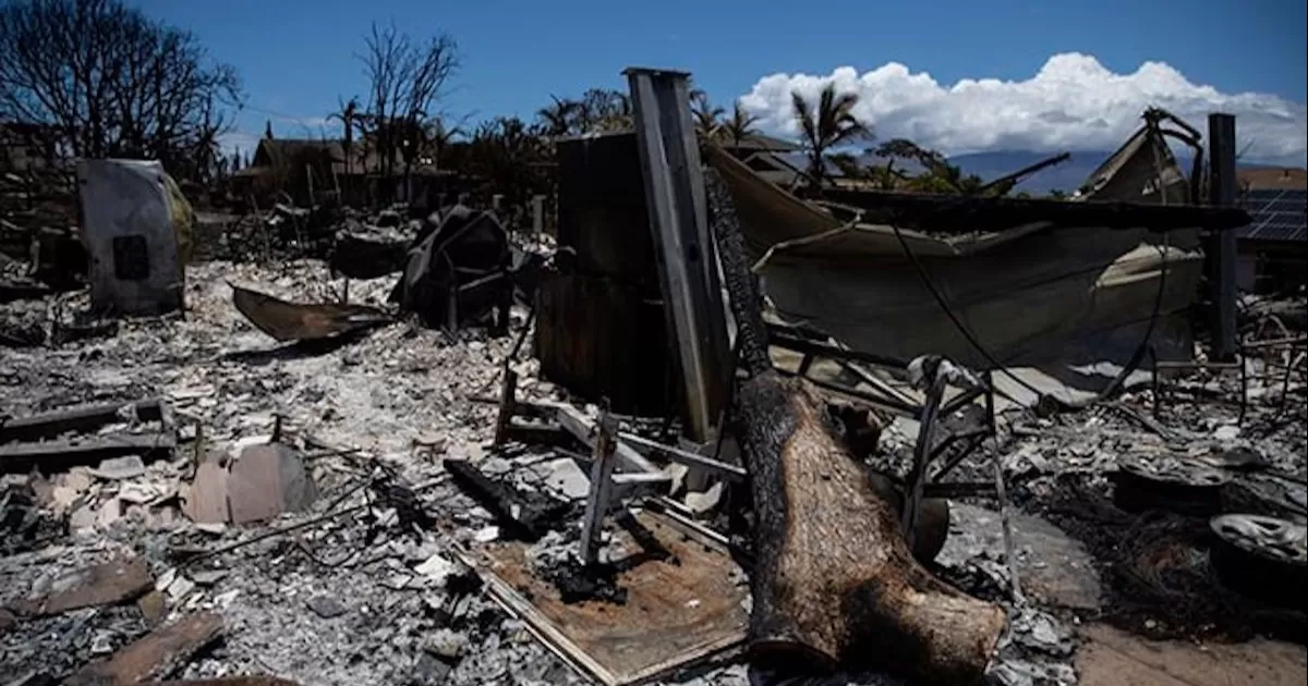 Por el momento solo se ha inspeccionado el 32 % del territorio quemado