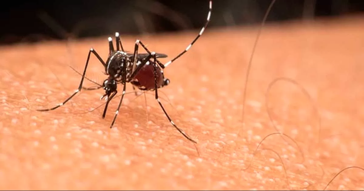 Además de los casos de dengue, en el estado se han registrado un incremento personas que han dado a positivo a Covid-19, esto tener una relación con la movilidad que se ha tenido en las últimas semanas por la temporada vacacional, informó la SA