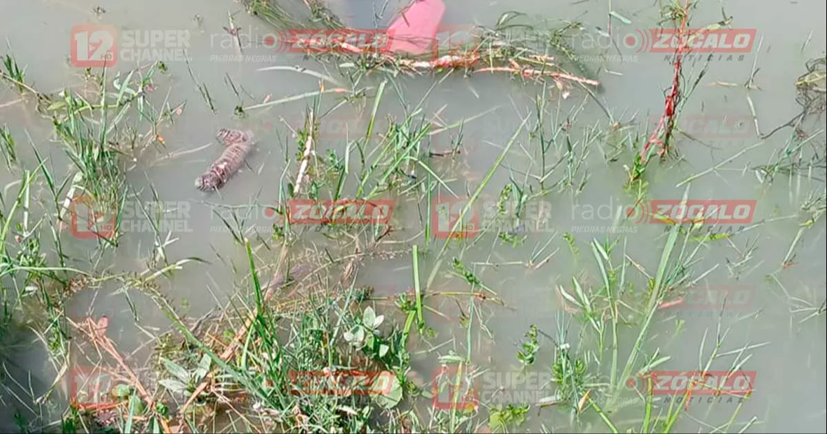 Se trata de un hombre y una mujer aún no identificados cuyos cuerpos fueron localizados en la orilla del río Bravo a la altura de la calle Reforma.