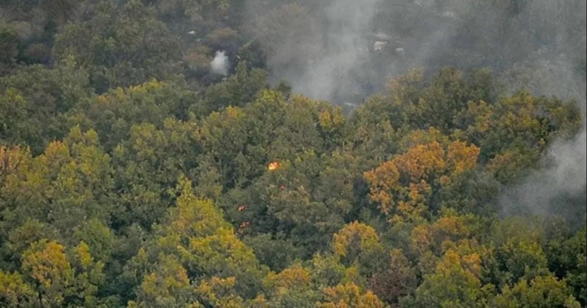 En total, en lo que va de 2023, en Grecia han ardido ya casi 160 mil hectáreas, más del 1.1 % de la superficie total del país