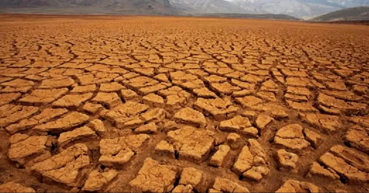 Se estima que hay una superficie de 5 mil hectáreas de cultivos dañados por la falta de agua.