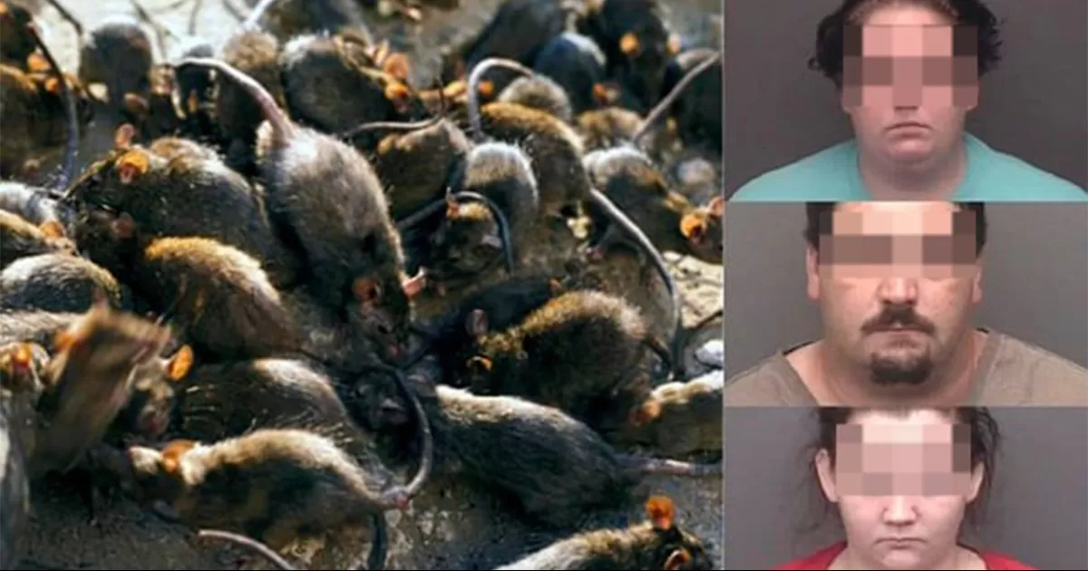 La Policía detuvo a tres personas por el caso de maltrato, que además del bebé, afectó a cuatro niños de la familia de entre dos y seis años de edad