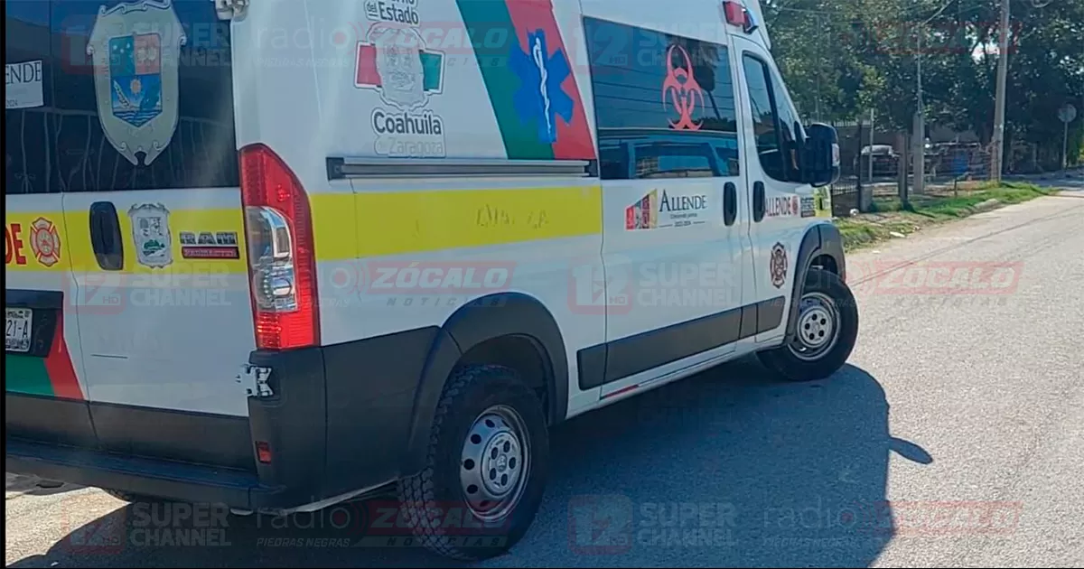 Una mujer de 74 años sufrió una caída de un árbol en Allende