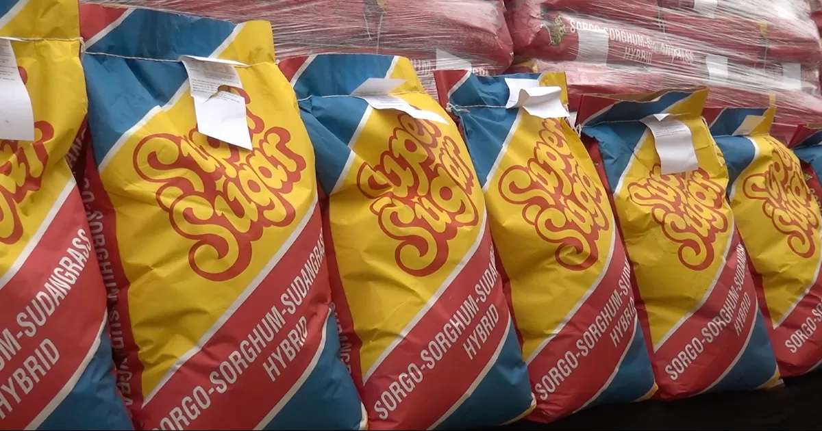 Municipio inicia este jueves entrega de semilla a productores rurales de Piedras Negras