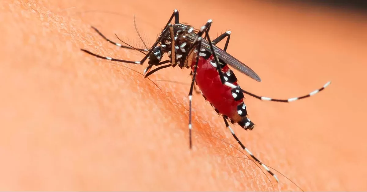A la baja incidencia de casos de dengue en Piedras Negras a comparación del 2022