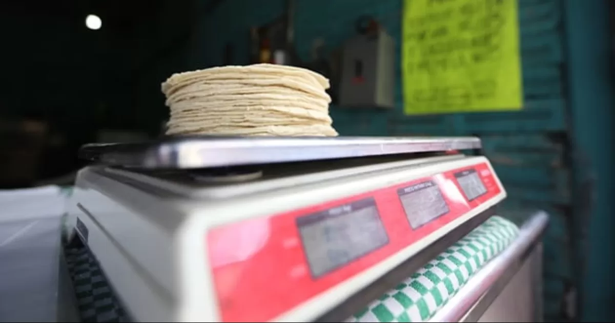 Pegará sequía a tortilla; se desplomaría producción hasta 70%