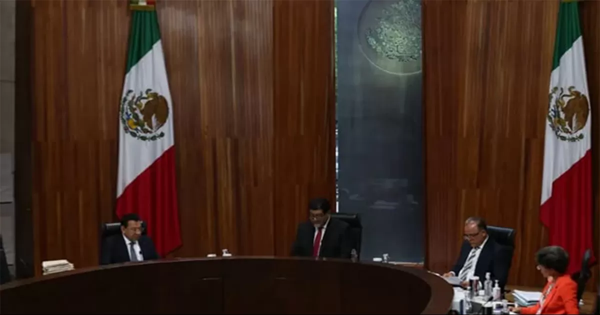 Violentadores de mujeres podrán participar para reelegirse como legisladores: TEPJF