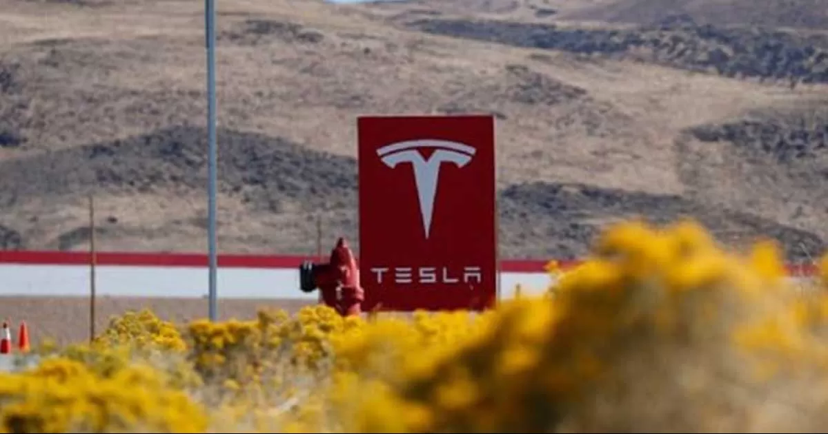 Tesla adquirió un terreno de mil 600 hectáreas en la carretera Saltillo-Monterrey. En la primera fase de desarrollo se utilizará solamente una sexta parte del terreno total