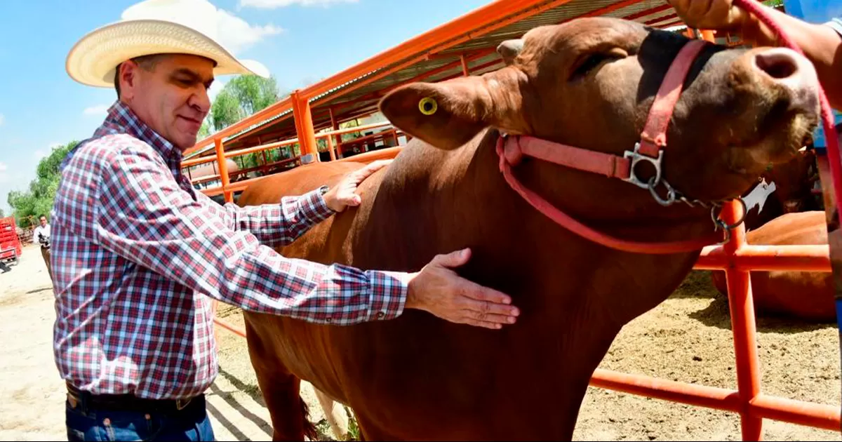 A nivel nacional, la entidad es la primera en obtener estos resultados.