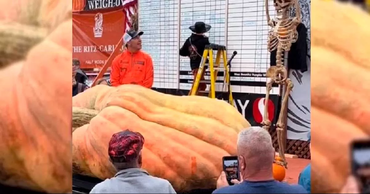 El horticultor ya había establecido en 2022 un nuevo récord en Estados Unidos por cultivar una calabaza gigante.
