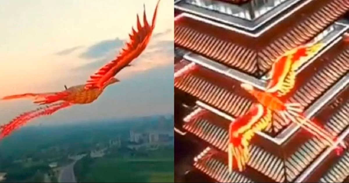 Ciudadanos y turistas observaron asombrados la cometa, pues su parecido con el ave mítica es enorme