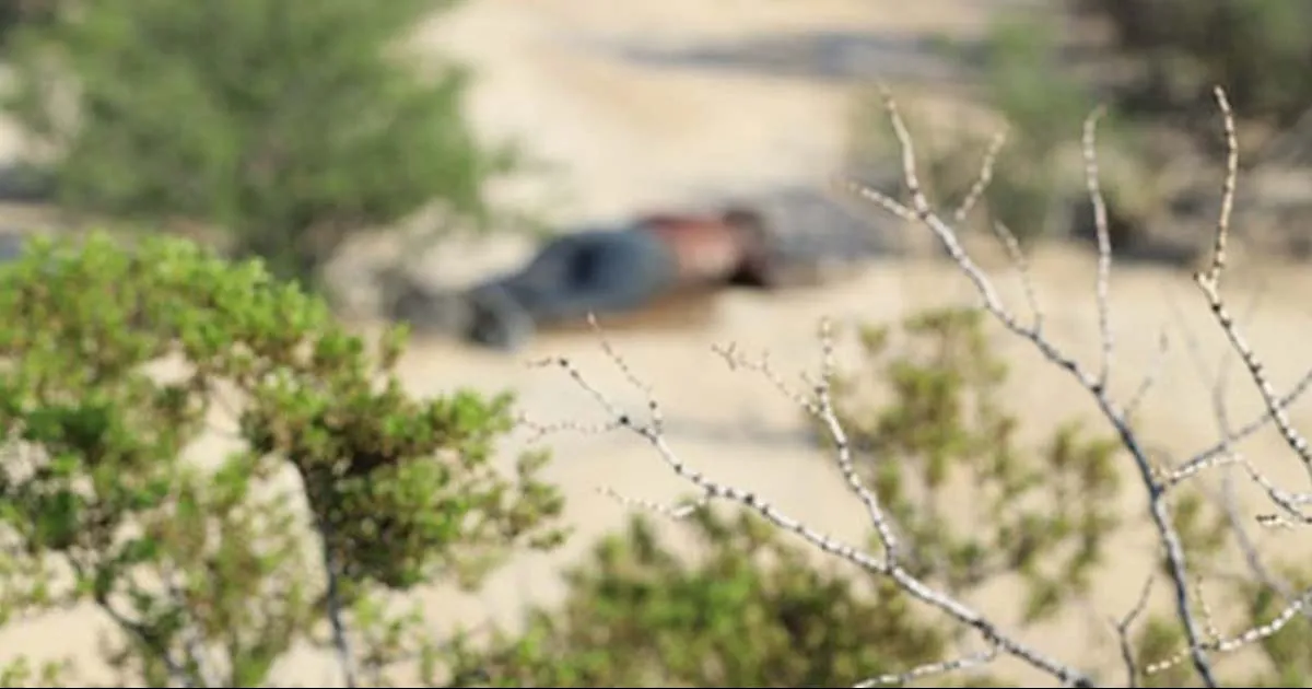 Salió a juntar leña y encuentra a persona sin vida en el ejido Loma Bonita de Parras de la Fuente