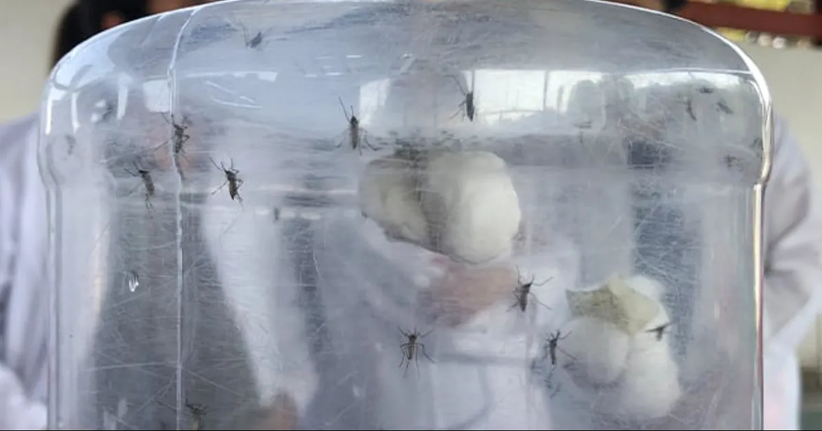 Las dosis se aplicarán a la población a partir de los 9 años cumplidos y hasta los 45 que ya presentaron la enfermedad.