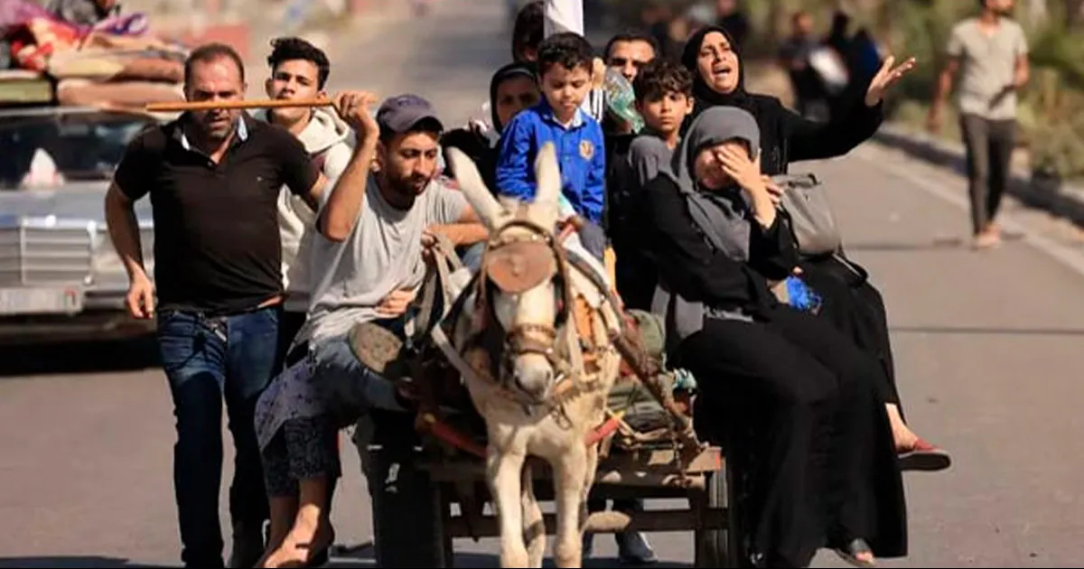 Al menos 10 mil 569 personas, en su mayoría civiles y entre ellas más de 4 mil niños, murieron en los bombardeos israelíes que sucedieron en Gaza.