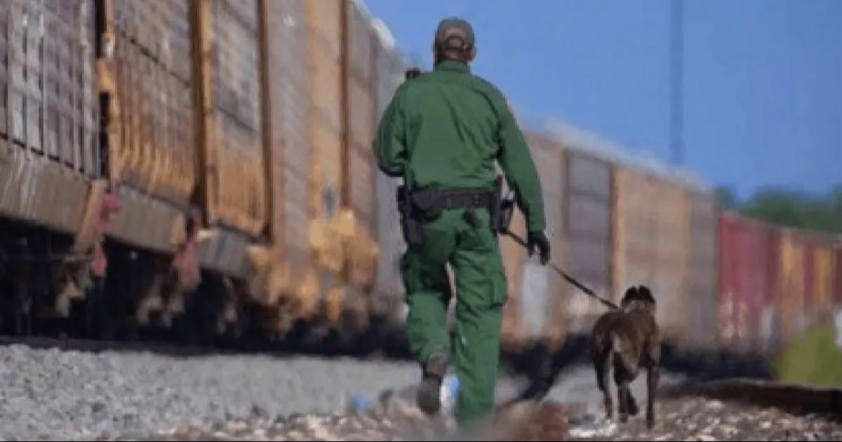 La oficina de Protección Consular instalada en Eagle Pass reporta que tan sólo en el condado de Maverick han muerto 42 indocumentados