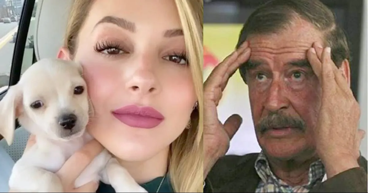 Tras dichos misóginos y polémica contra Samuel García y Mariana Rodríguez, la cuenta del ex Presidente Vicente Fox en esta red social ya no existe