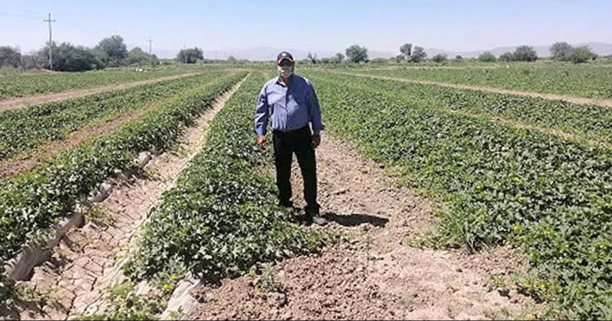 A través del Centro nacional de comunicación social A.C se darán a conocer estudios sobre el impacto de la extracción de hidrocarburos.