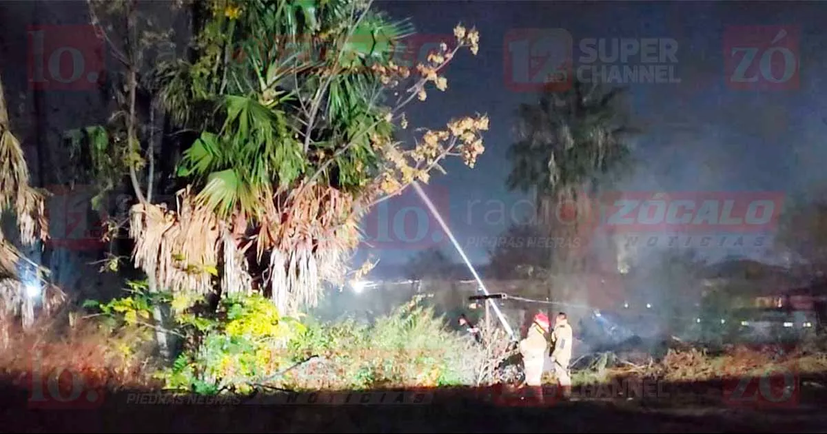 Se queman palmeras en la Roma; vecinos dicen que niños jugaban con cuetes