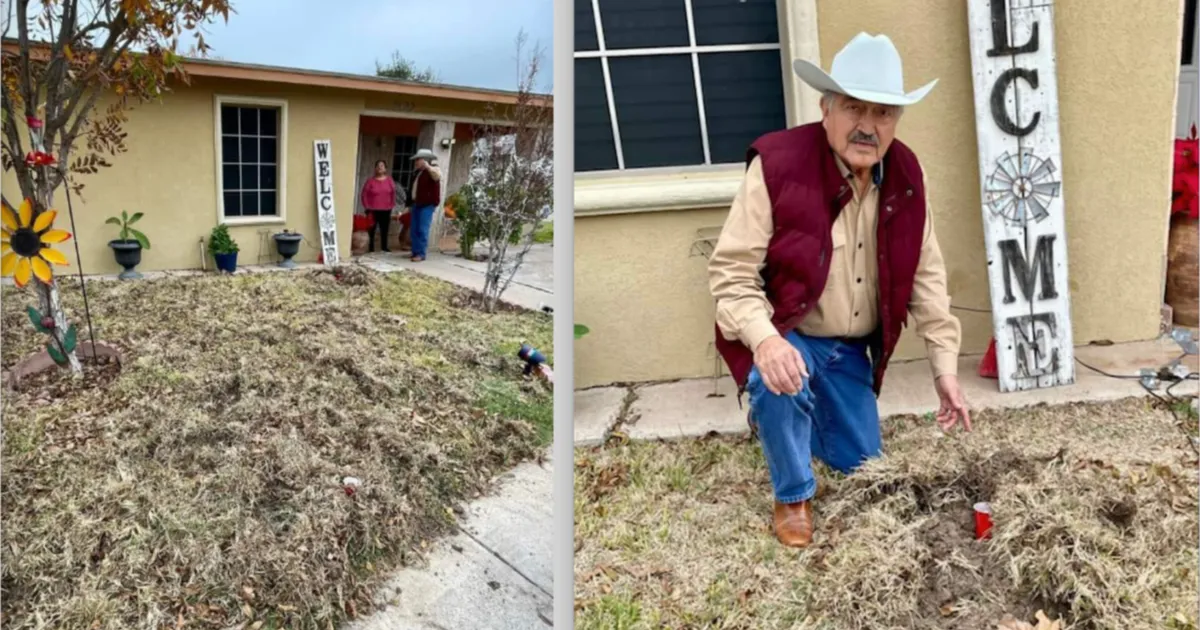 Animales salvajes destrozaron varias yardas de viviendas del sector Eidson Road en busca de alimento, reportaron propietarios
