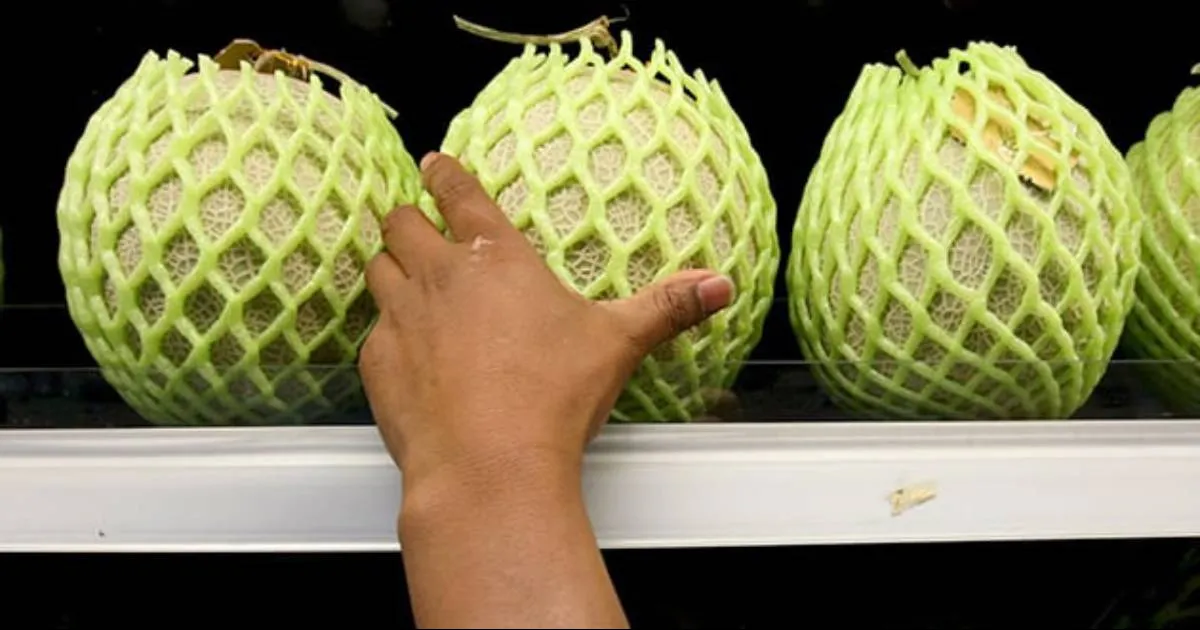 La investigación ha confirmado que la misma cepa genética de la bacteria ha causado un brote de salmonela en Estados Unidos