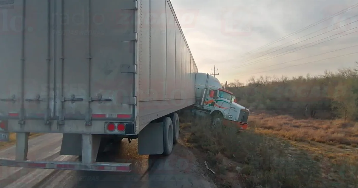 El chofer de unidad manifestó que al atropellar al caballo perdió el control del volante.