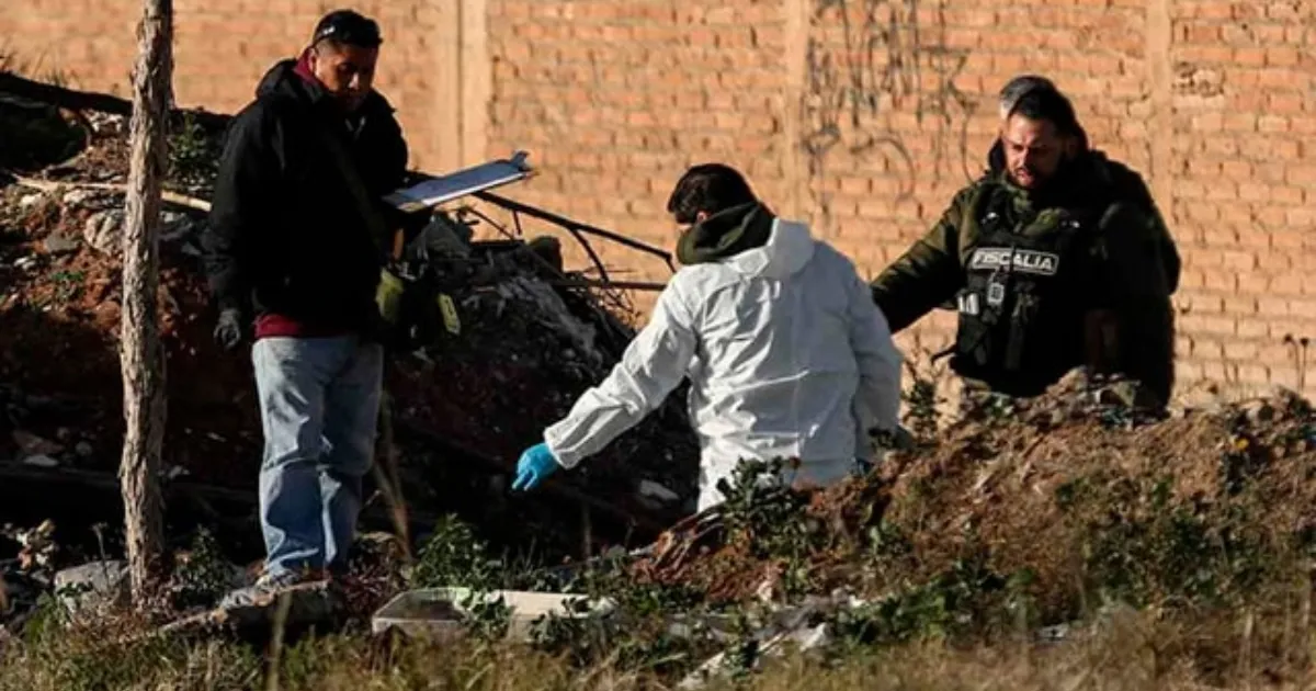 Perros pasean con extremidades humanas en el hocico en Zacatecas