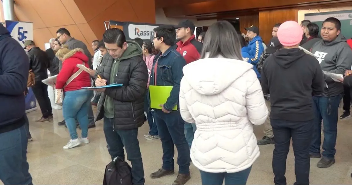 Servicio Nacional del Empleo promedió un 50% de efectividad en colocación