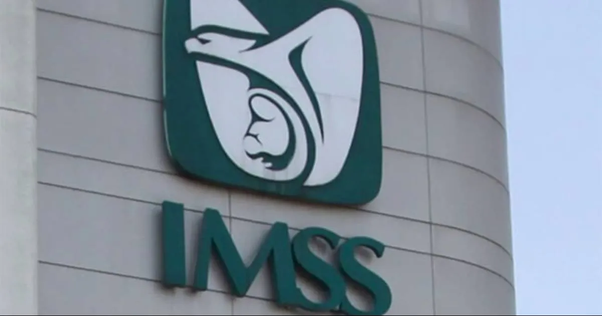 Así puedes consultar cuántas semanas tienes cotizadas en el IMSS