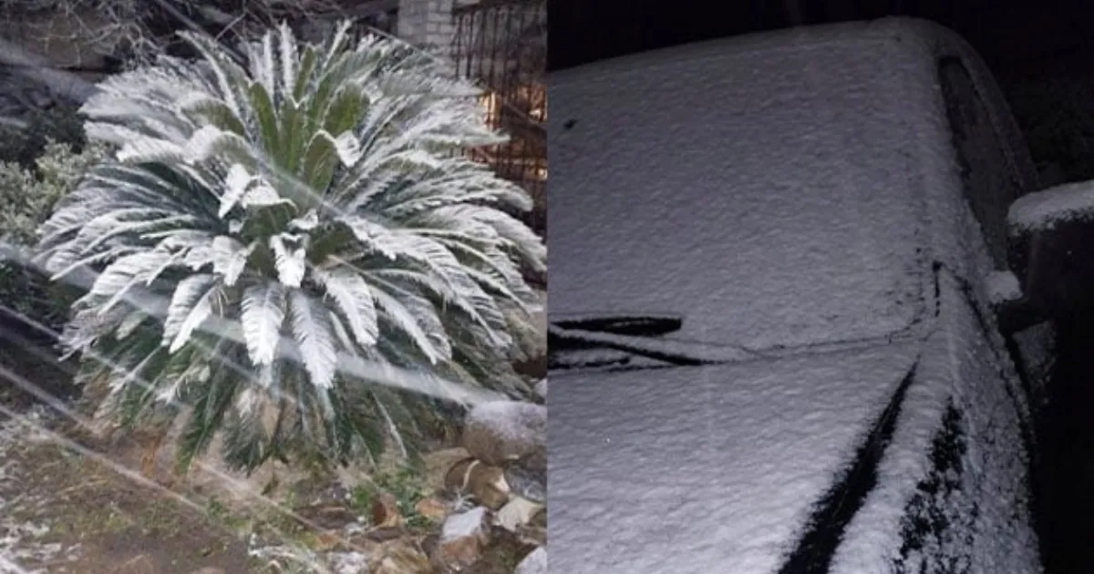 Usuarios en las redes sociales compartieron videos y fotografías