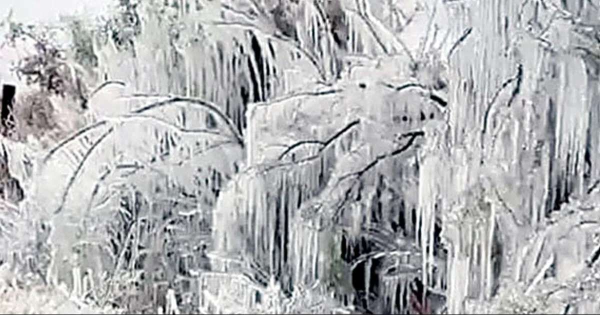 Estremece frío a la región