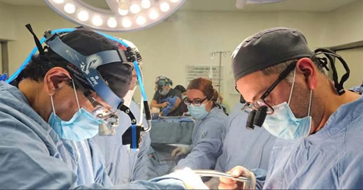 Dan esperanza de vida en Nuevo León; IMSS realiza trasplante de pulmón