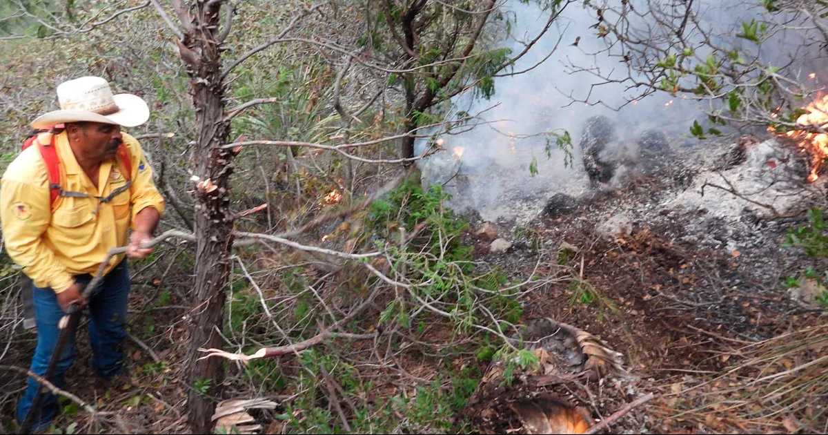 Se tomó conocimiento la tarde de este martes del inicio de un incendio forestal en la Sierra Zapalinamé, a la altura de la colonia Mirasierra.