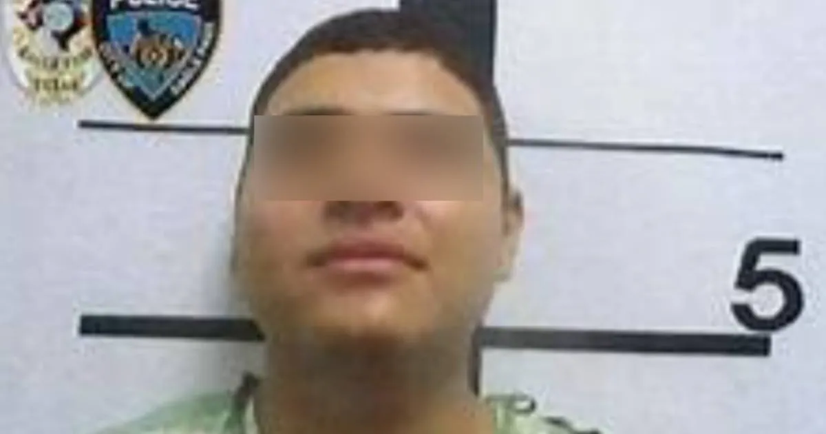 El joven está acusado de ingresar a un domicilio con intenciones de cometer una felonía