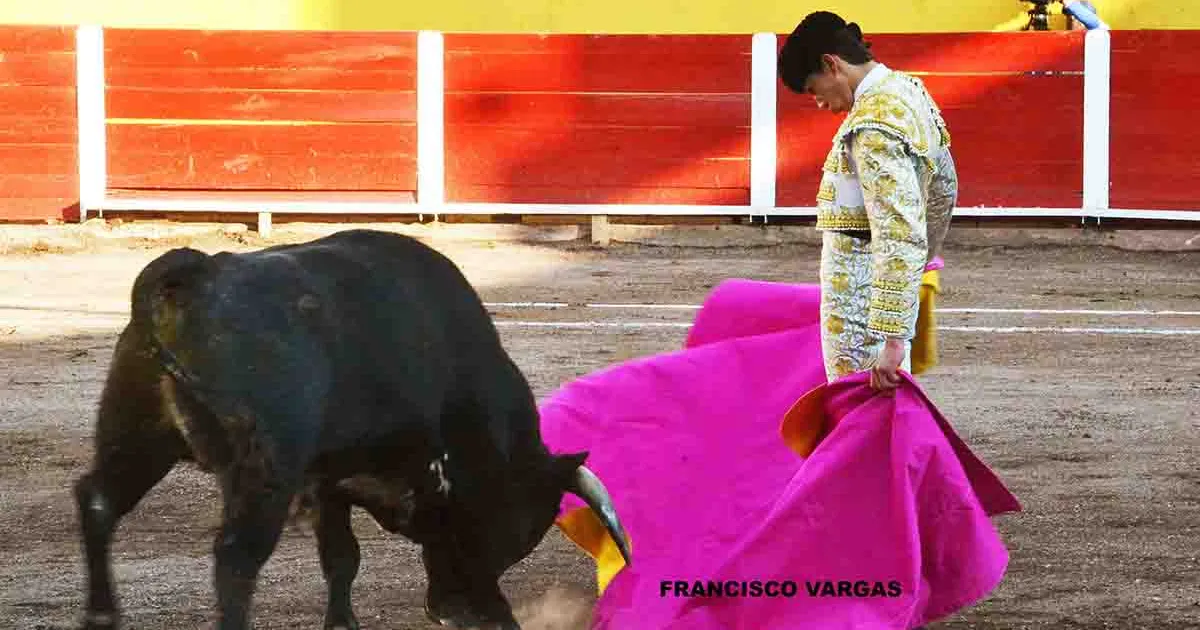 Bruno Aloi iniciará su temporada europea 2024 en Ajalvir, Madrid